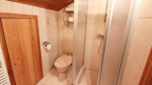 a small bathroom with a toilet and a shower at Pension Eichertstüberl in Furth im Wald