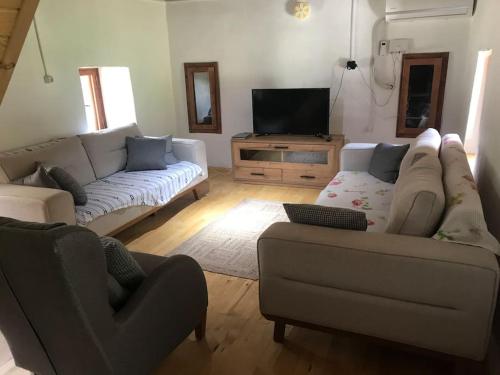 sala de estar con 2 sofás y TV de pantalla plana en Lovely house in the heart of nature, en Serik