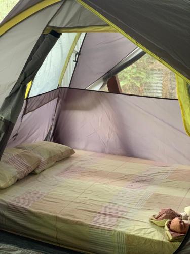 Letto o letti in una camera di hostal Camping la ygriega