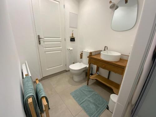 a bathroom with a toilet and a sink and a mirror at Charmant gîte avec jacuzzi privatif in Saint-Martin-Choquel