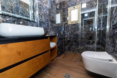 a bathroom with a sink and a toilet at Villa The Old Bakery in Qeparo