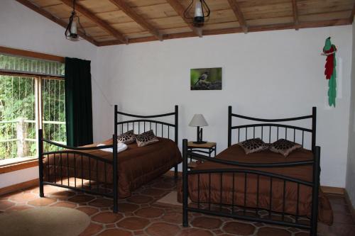 two beds in a room with a window at Bosque de Paz Reserva Biologica in Toro Amarillo