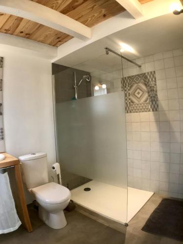 une salle de bain avec toilettes et douche en verre dans l'établissement Dernier Ecolodge avant NewYork, à Plogoff