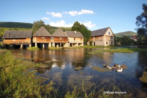 a group of houses on a river with ducks in the water at Holiday House Lana in Otočac