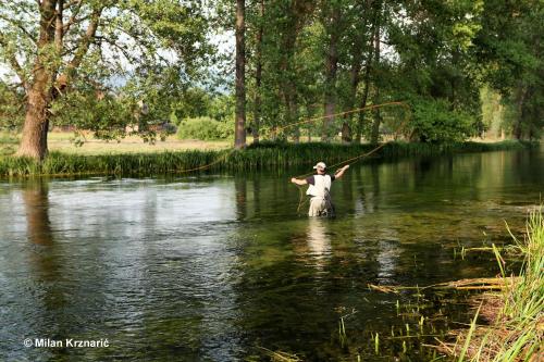 a man standing in a river holding a fishing line at Holiday House Lana in Otočac