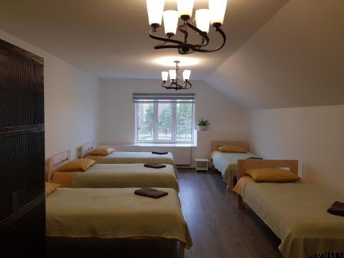 Zimmer mit 4 Betten und einem Kronleuchter in der Unterkunft Viesu māja Vālodzes in Mārkalne