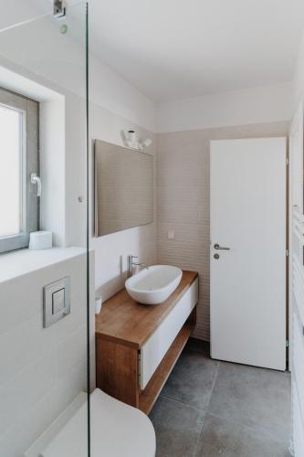 a bathroom with a sink and a toilet and a mirror at Villa Kadila with heated pool and sauna for family in Lun