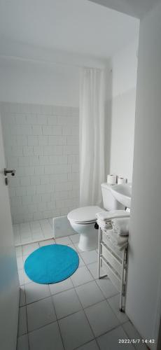a bathroom with a toilet and a blue rug at Largo da Paz 24 in Lisbon