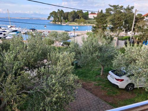 a white car parked next to a marina with boats at Apartmani Junto in Preko