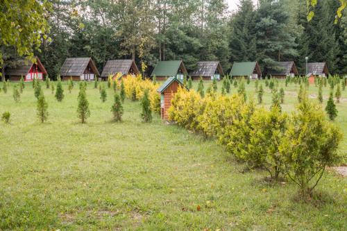 a row of small houses in a field with trees at Pensiune și Camping Patru - Gheorgheni in Gheorgheni