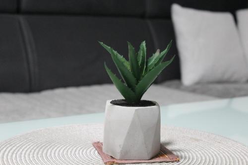a plant in a white vase on a table at Apartman Amina-Ahmad Vinac-Jajce in Jajce