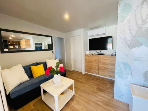 比奥格勒·纳·莫鲁Iris Holiday Homes的客厅里有一张蓝色的沙发和一张桌子