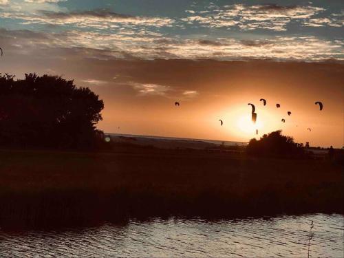 a group of kites flying over a beach at sunset at Strandvakantiehuisje! in Workum