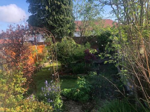 a garden with a lot of plants and trees at Cosy Rustic 3 bed cottage, great train links in Bebington