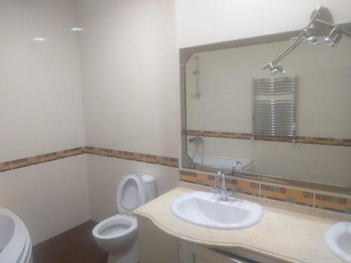 uma casa de banho com um WC, um lavatório e um espelho. em Apartament caspian plaza em Baku