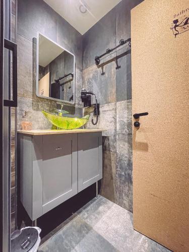 une salle de bain avec un lavabo et un miroir dans l'établissement Harry Potter By Carl-Emilie 1 chambres 1 à 4 pers, à Épinal