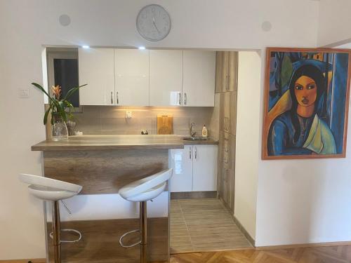 a kitchen with a painting of a woman on the wall at Sandra in Niš