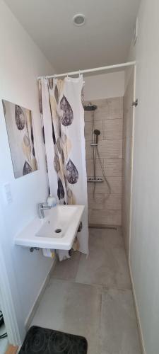 La salle de bains est pourvue d'un lavabo et d'une douche. dans l'établissement Storebælt Apartament, à Korsør