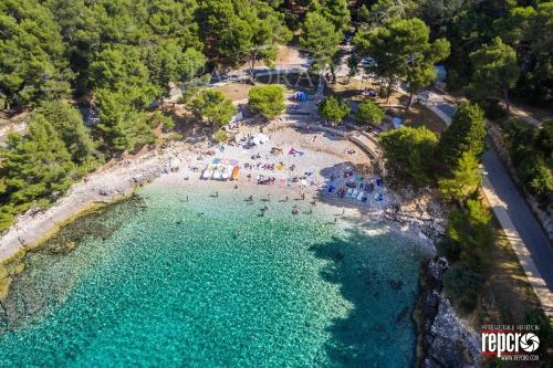 Studio Oliva - FREE Parking