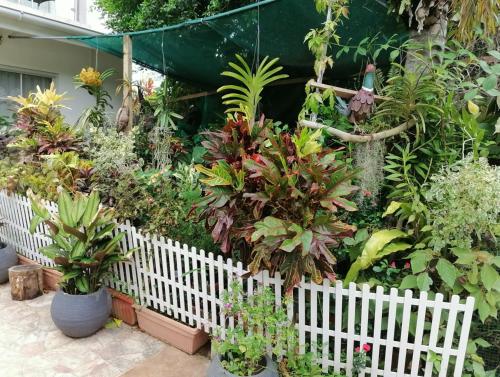 un jardín con una valla blanca y muchas plantas en Creole Cottage Homestay en Mahe