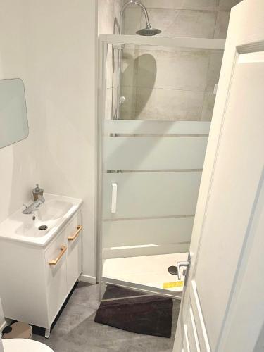 uma casa de banho com um chuveiro e um lavatório. em Studio Cosy en Plein Centre em Corbeil-Essonnes