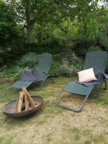 two chairs and a fire pit in a yard at Baranja Black Hill's in Gajić