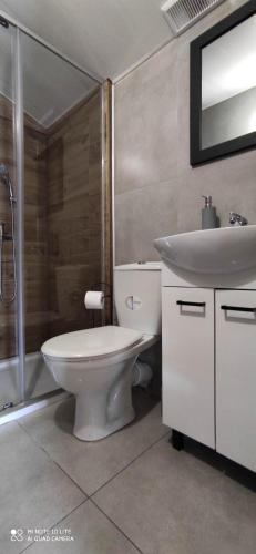 a bathroom with a toilet and a sink at Domki Bieszczadzki Czar Rodzinny 661-850-410 in Polańczyk
