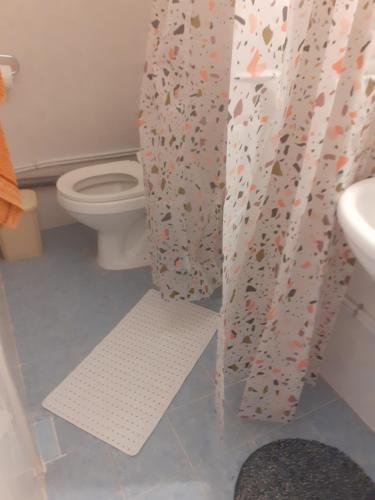 a bathroom with a toilet and a shower curtain at ΜΑΡΓΑΡΙΤΑ in Salamina