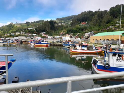 a group of boats are docked in a harbor at DepartamentoVista Queule in Toltén