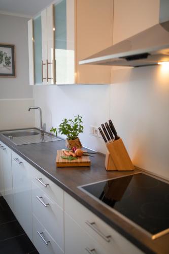 a kitchen with a sink and a counter top at Rieslingresidenz in Traben-Trarbach