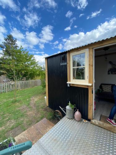 Taman di luar Mr Hares shepherd hut