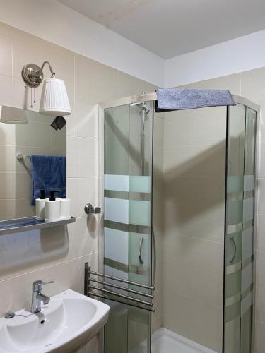 a bathroom with a glass shower and a sink at Encantador Piso en la Antigua Casa de Correos in Molina de Aragón