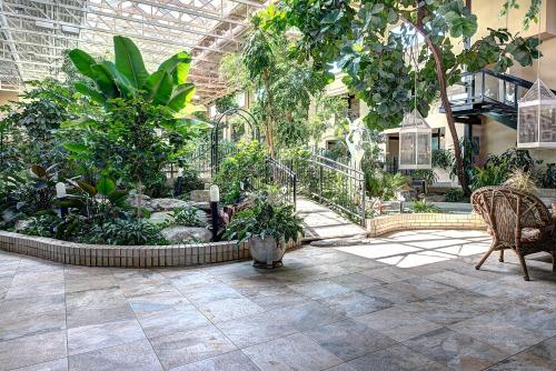 a garden with plants and trees in a building at Hotel L'Oiseliere Montmagny in Montmagny