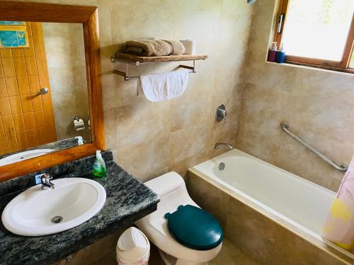 a bathroom with a sink and a toilet and a tub at Mama Tungu hostel in Baños