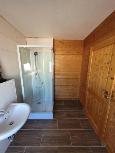 a bathroom with a shower and a sink at Ferienbutze in Molbergen