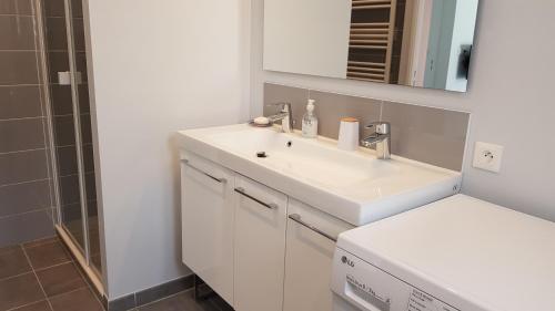 La salle de bains blanche est pourvue d'un lavabo et d'une douche. dans l'établissement La Chouette d'Amboise, à Amboise