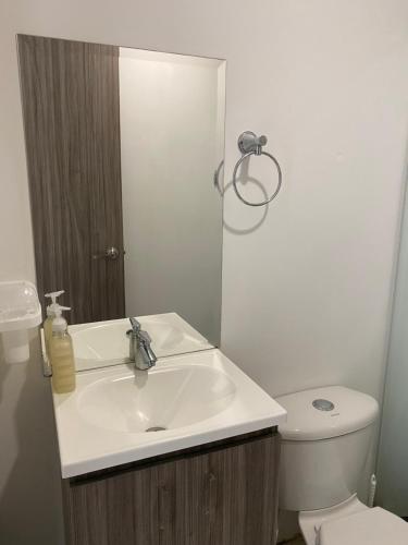 łazienka z umywalką i toaletą w obiekcie Apartasuite 01 w mieście Pereira