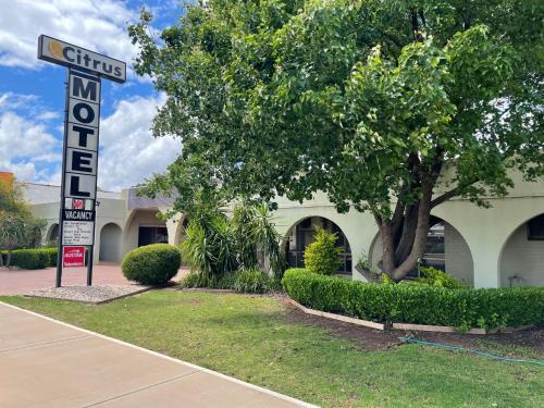 a sign in front of a building with a tree at Citrus Motel in Griffith