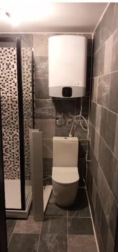 a bathroom with a toilet and a shower stall at Apartments with sea view in Prcanj in Kotor