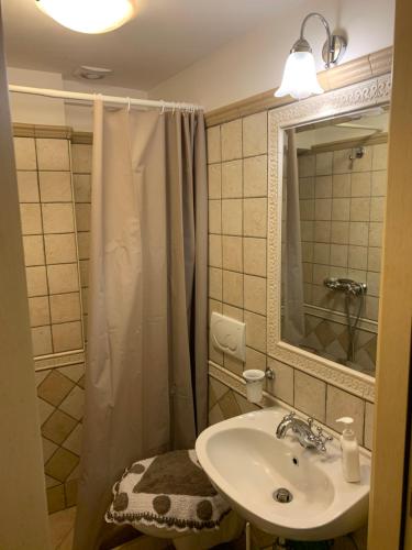 bagno con lavandino e tenda doccia di Duomo Apartment a Nardò