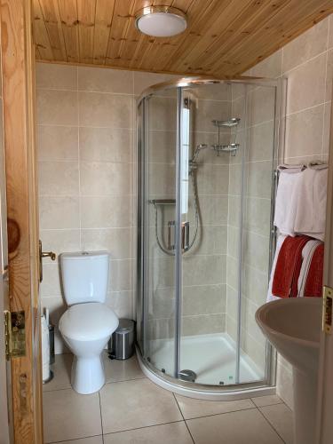 Gallery image of Beech Lodge B&B in Lisheenanoran