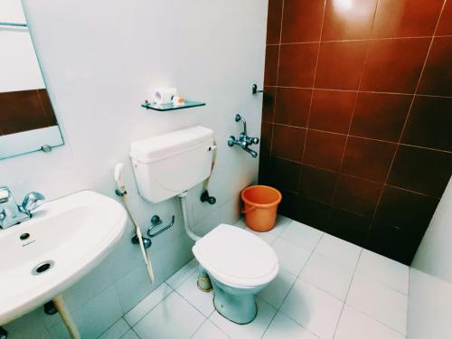a bathroom with a toilet and a sink at Raccoon Rooms in Mysore