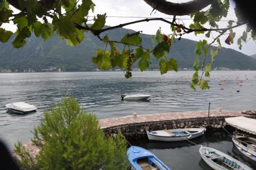 Φυσικό τοπίο κοντά σε αυτό το διαμέρισμα