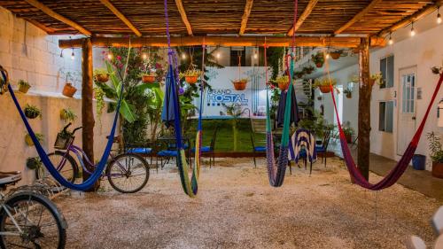a group of bikes are hanging in a room at Grand Hostal Playa in Playa del Carmen