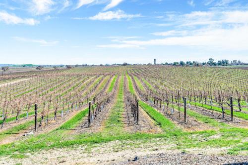 Devi Vineyard Delight – Photos 3