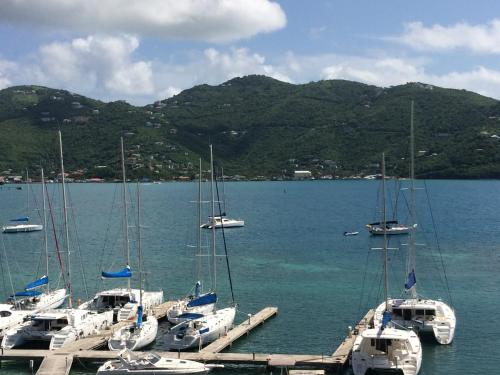 a group of boats docked at a dock in the water at Fort Burt Hotel in Road Town