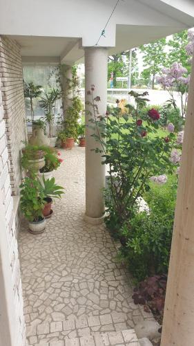 Κήπος έξω από το Villa Gioia Rooms