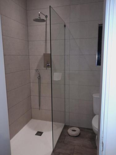 a shower with a glass door and a toilet at Lovely two bedroom apartment seconds from the Sea! in Sliema