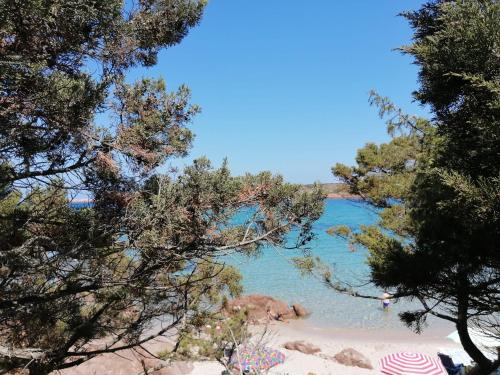 Φωτογραφία από το άλμπουμ του Casa vacanze Calarossa (Sardegna) σε Isola Rossa