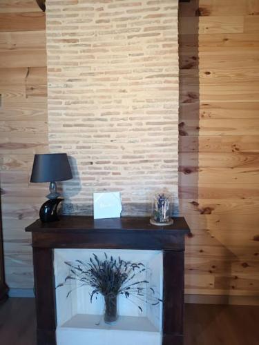 a table with a lamp and a plant in a room at GÎTE AUX BOIS D'EN TEMPS in Lunas